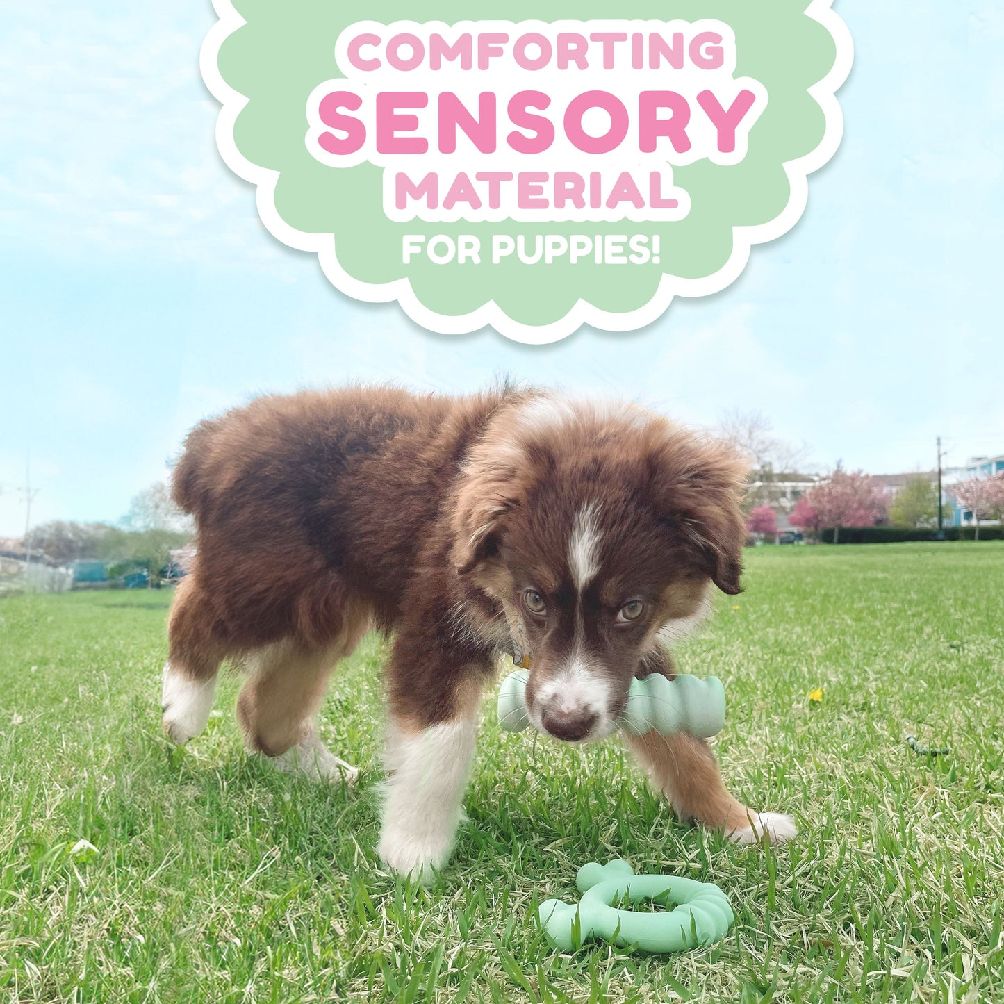 Nylabone Sensory Material Puppy Teething Ring Chicken, 1ea/Small/Regular - Up To 25 Ibs.