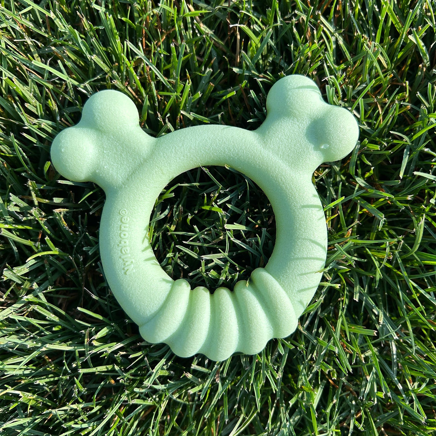 Nylabone Sensory Material Puppy Teething Ring Chicken, 1ea/Small/Regular - Up To 25 Ibs.