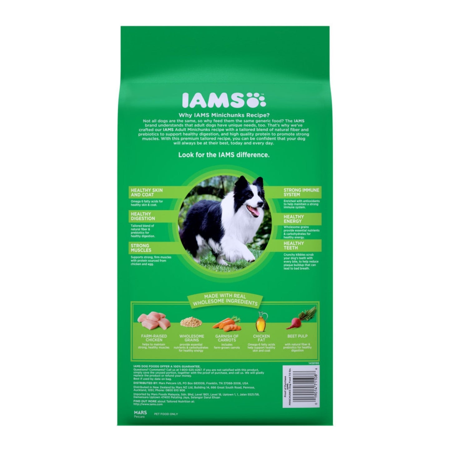 IAMS Minichunks Small Kibble High Protein Adult Dry Dog Food Real Chicken 1ea/7 lb