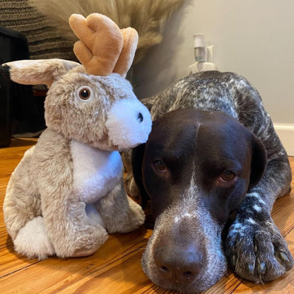 Tall Tails Dog Plush Jackalope Twitchy 9 Inch