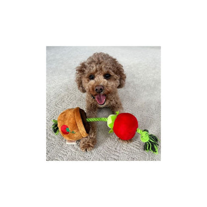 Territory Dog Treat Tug Tomato 15 Inch