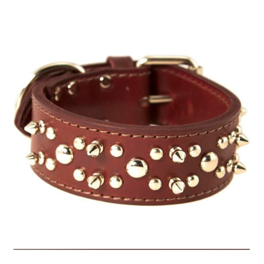 Omni Pet Latigo Leather Spike/Stud Dog Collar Burgundy 1.75 x 20in.