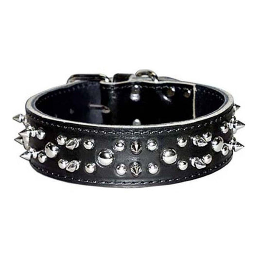 Omni Pet Latigo Leather Spike/Stud Dog Collar Black 1.75 x 20in.