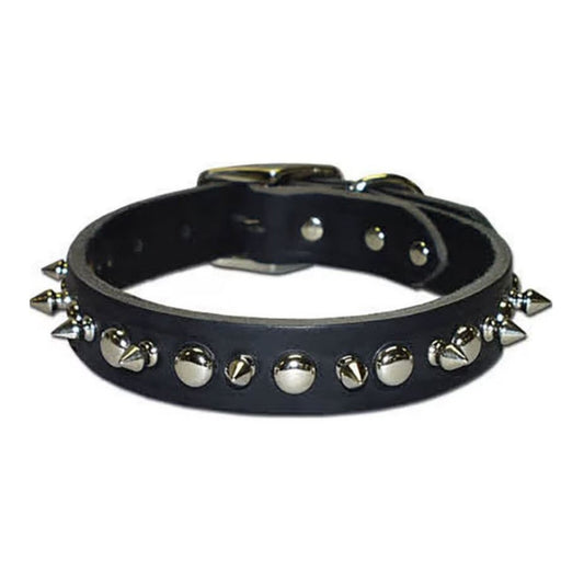 Omni Pet Latigo Leather 1 Ply Spiked Dog Collar Black 1/2 x 12in.