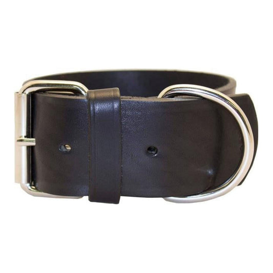 Omni Pet Latigo Leather 1 Ply Dog Collar Black 2 x 21in.