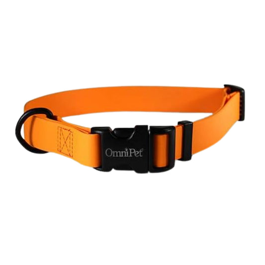 Omni Pet Carnival Biothane Dog Collar Orange 3/4 x 14 x 20in.