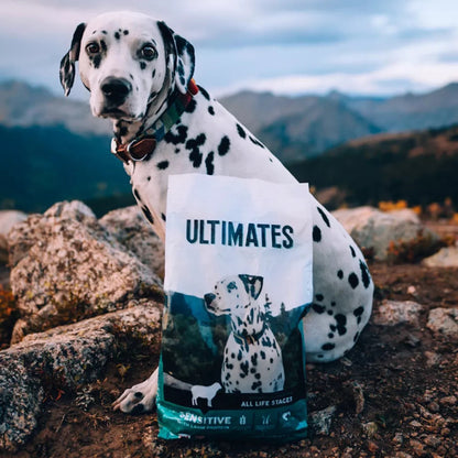 Ultimates Sensitive Skin & Stomach Dog Food Lamb 28 Lb