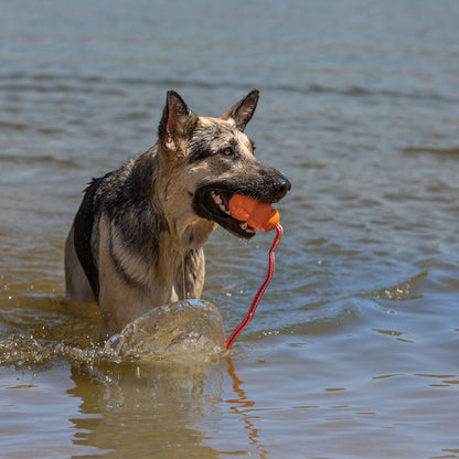 KONG Aqua Dog Toy 1ea/LG