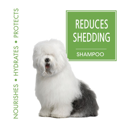 Four Paws Magic Coat Reduces Shedding Shampoo for Dogs Reduces Shedding Dog Shampoo, 1ea/16oz.