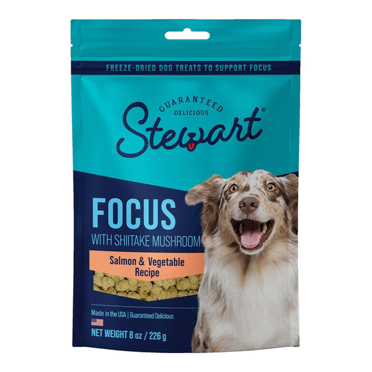 Stewart Freeze Dried Focus Dog Treats Pouch Salmon/Vegetables 8oz.