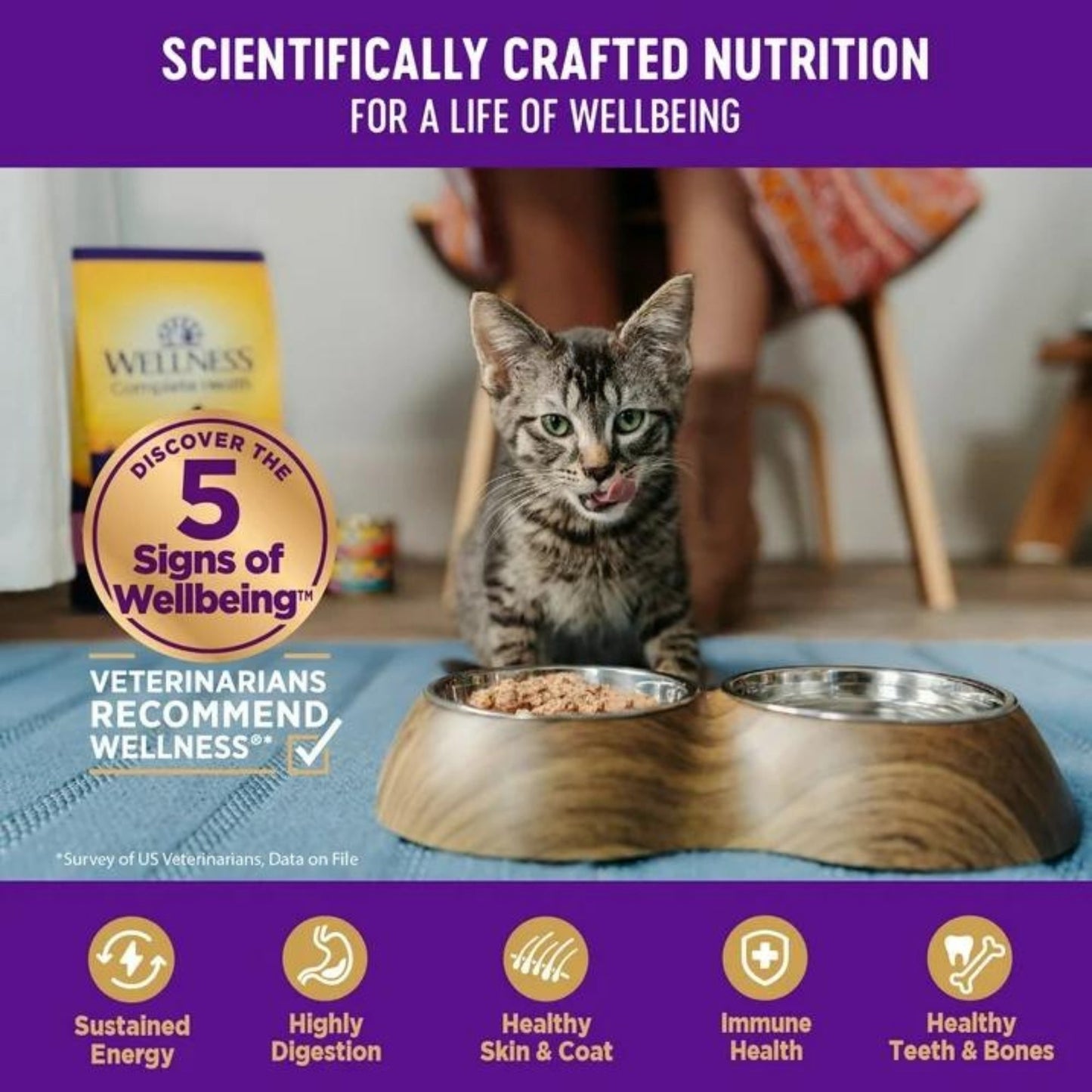 Wellness Cat Complete Health Gravies Salmon Entrée 3oz. (Case of 12)