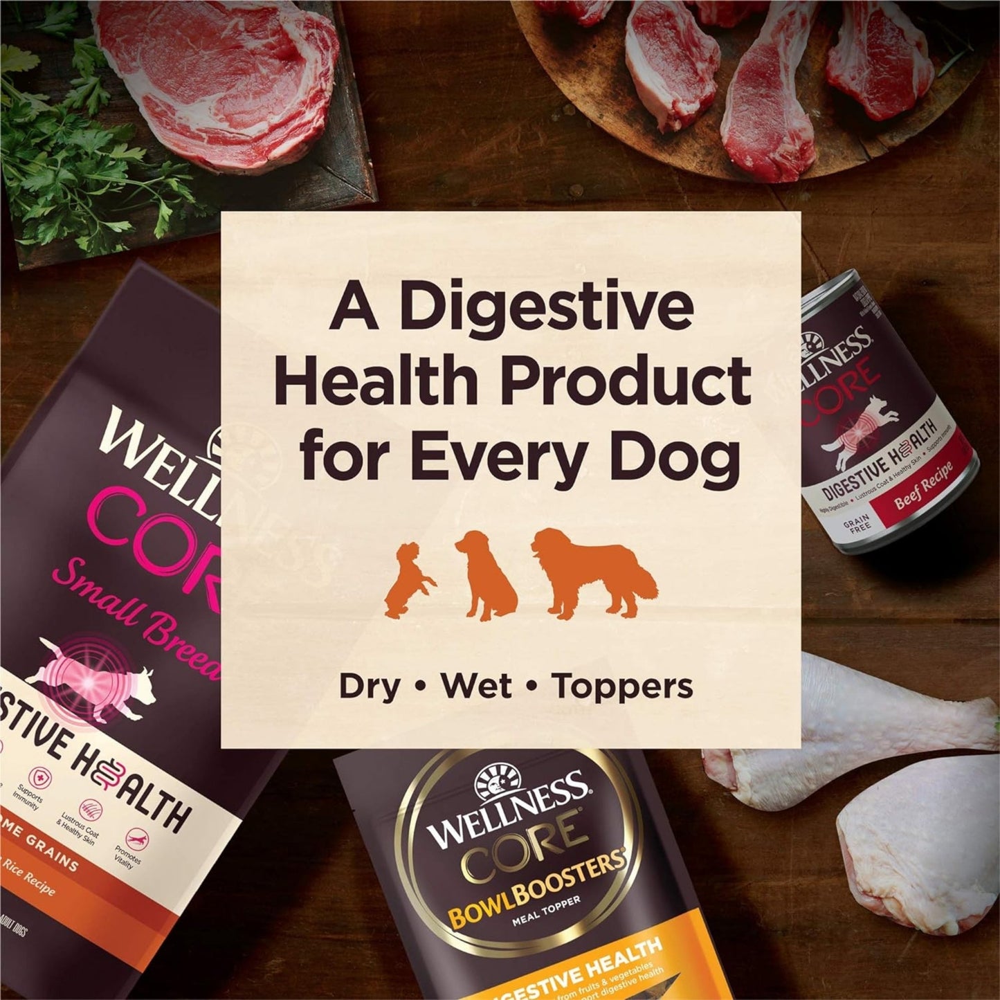 Wellness Dog Core Digestive Health Chicken Recipe 4Lb