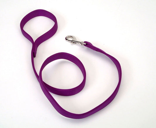 Coastal Double-Ply Nylon Dog Leash Purple 1ea/1 In X 4 ft