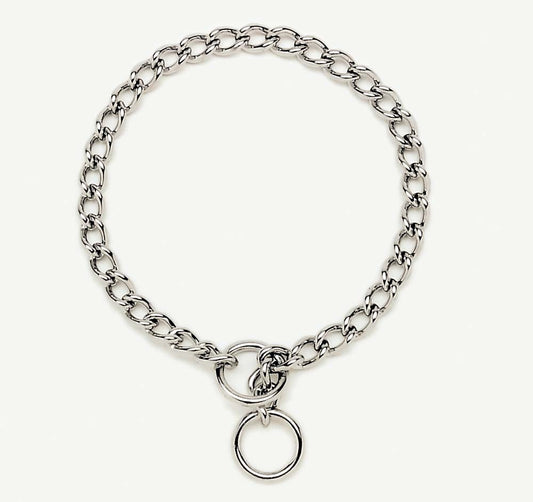 Titan Chain Training Dog Collar Medium Nickel, Chrome 1ea/2.5 Mm X 18 in