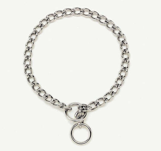 Titan Chain Training Dog Collar Medium Nickel, Chrome 1ea/2.5 Mm X 20 in