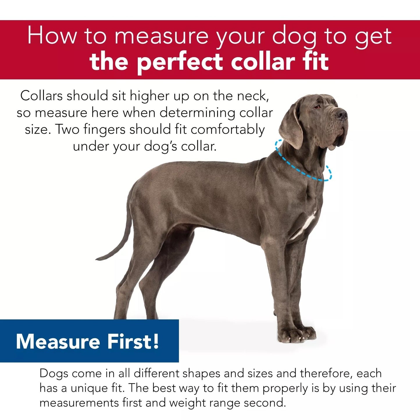 Inspire Adjustable Dog Collar Red 5/8 in. x 10-14in. Small