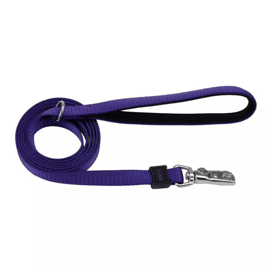 Inspire Dog Leash Purple 1in. x 6ft. Medium/Large