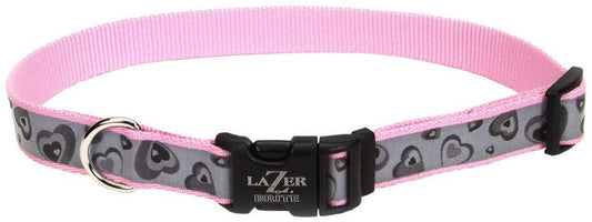 Lazer Brite Reflective Adjustable Dog Collar Turquoise 1ea/5/8 In X 12-18 in