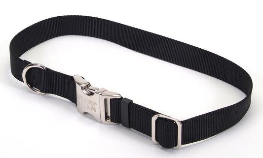 Coastal Adjustable Nylon Dog Collar with Titan Metal Buckle Black 1ea/3/4 In X 14-20 in