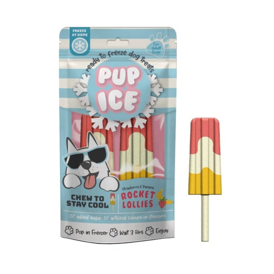 Pup Ice Rocket Lollies Strawberry/Banana 2 Pk