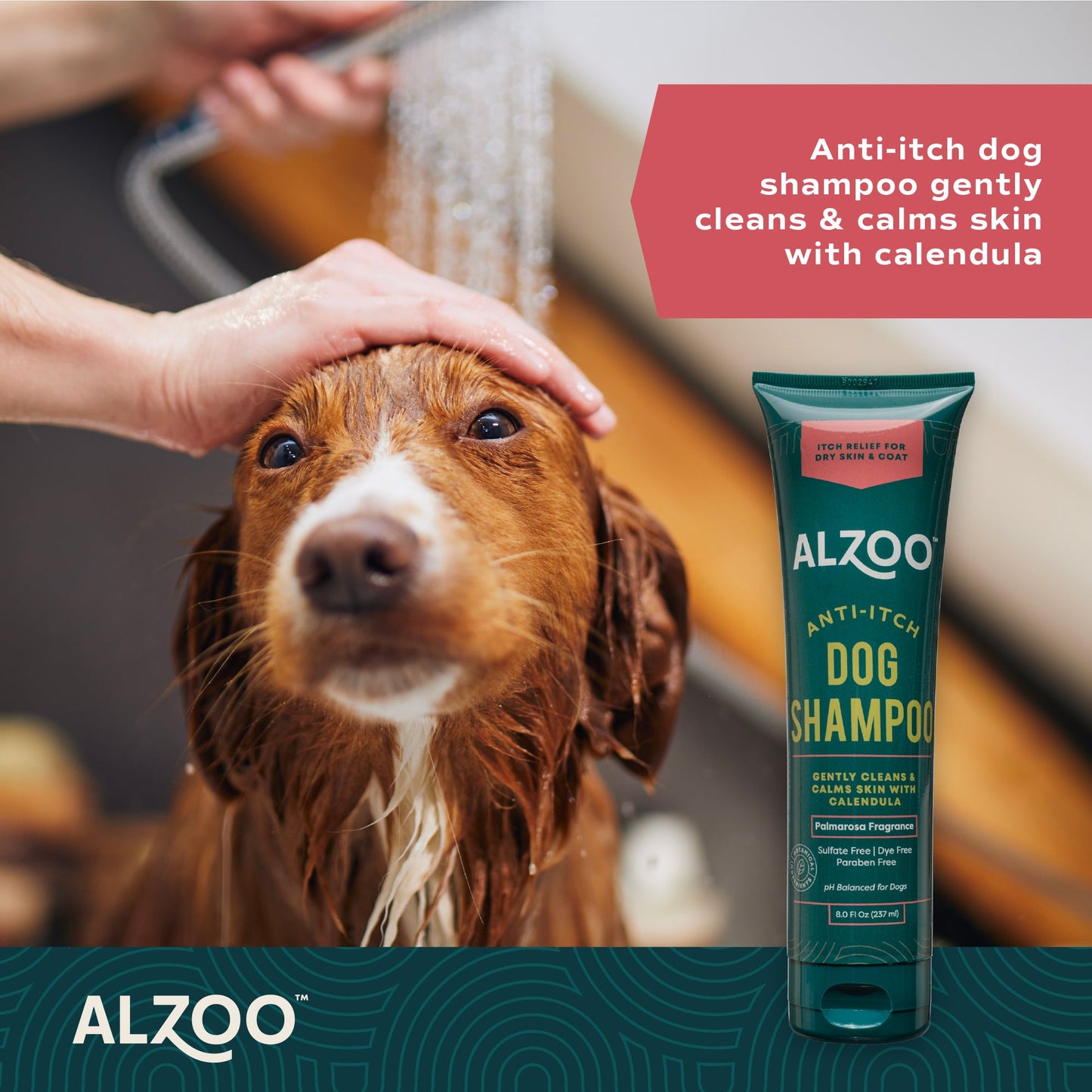 Alzoo Plant-Based Shampoo Anti-Itching 8oz.