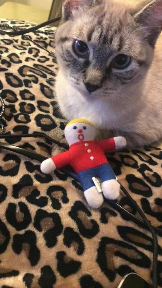 Multipet Mr. Bill Cat Toy 4 inch