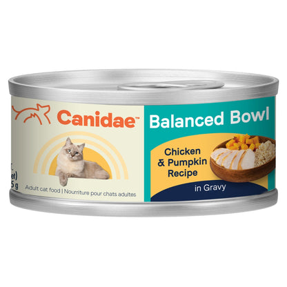 Canidae Balanced Bowl Cat Wet Food Chicken/Pumpkin 3oz. (Case of 24)