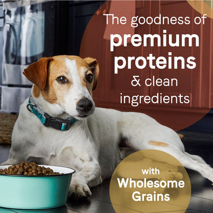 Pure Dog Food with Wholesome Grains Beef/Barley 4 Lb