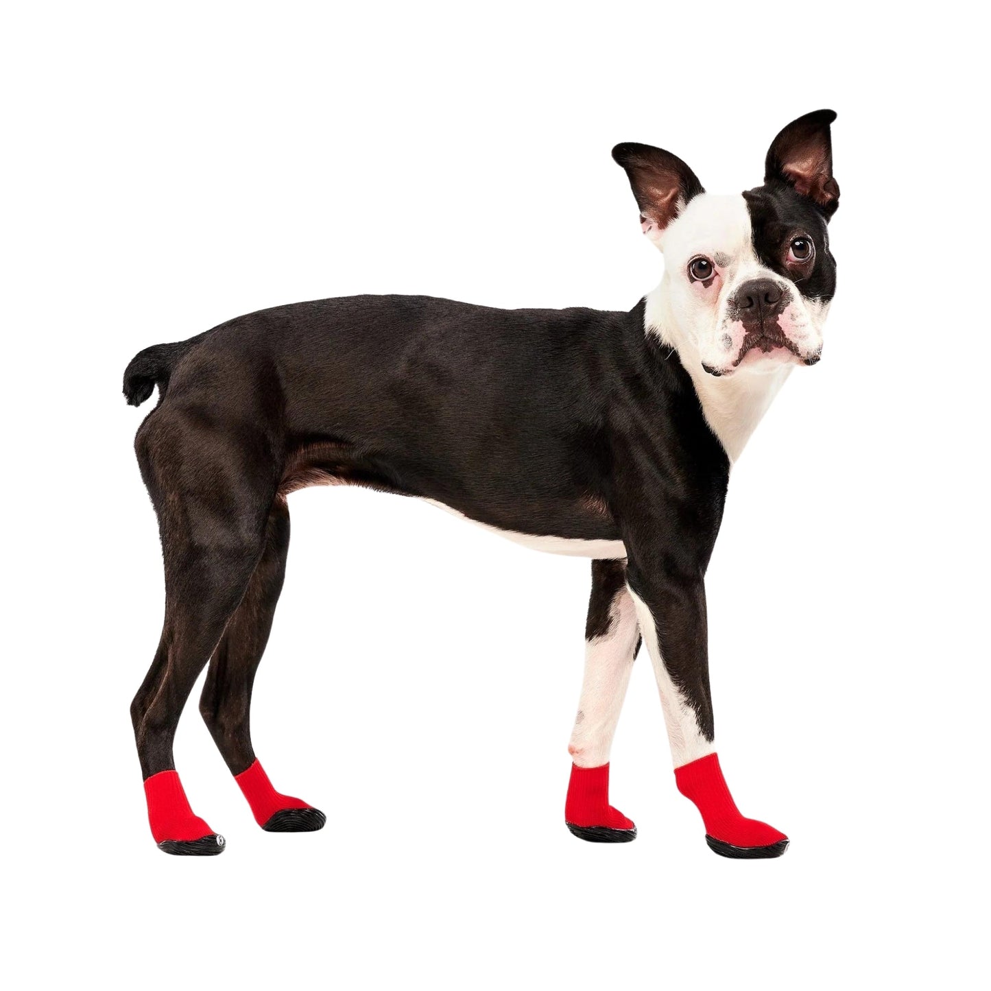 Goo-Eez Athleticaz Dog Boots Black/Red XLarge 2Pk