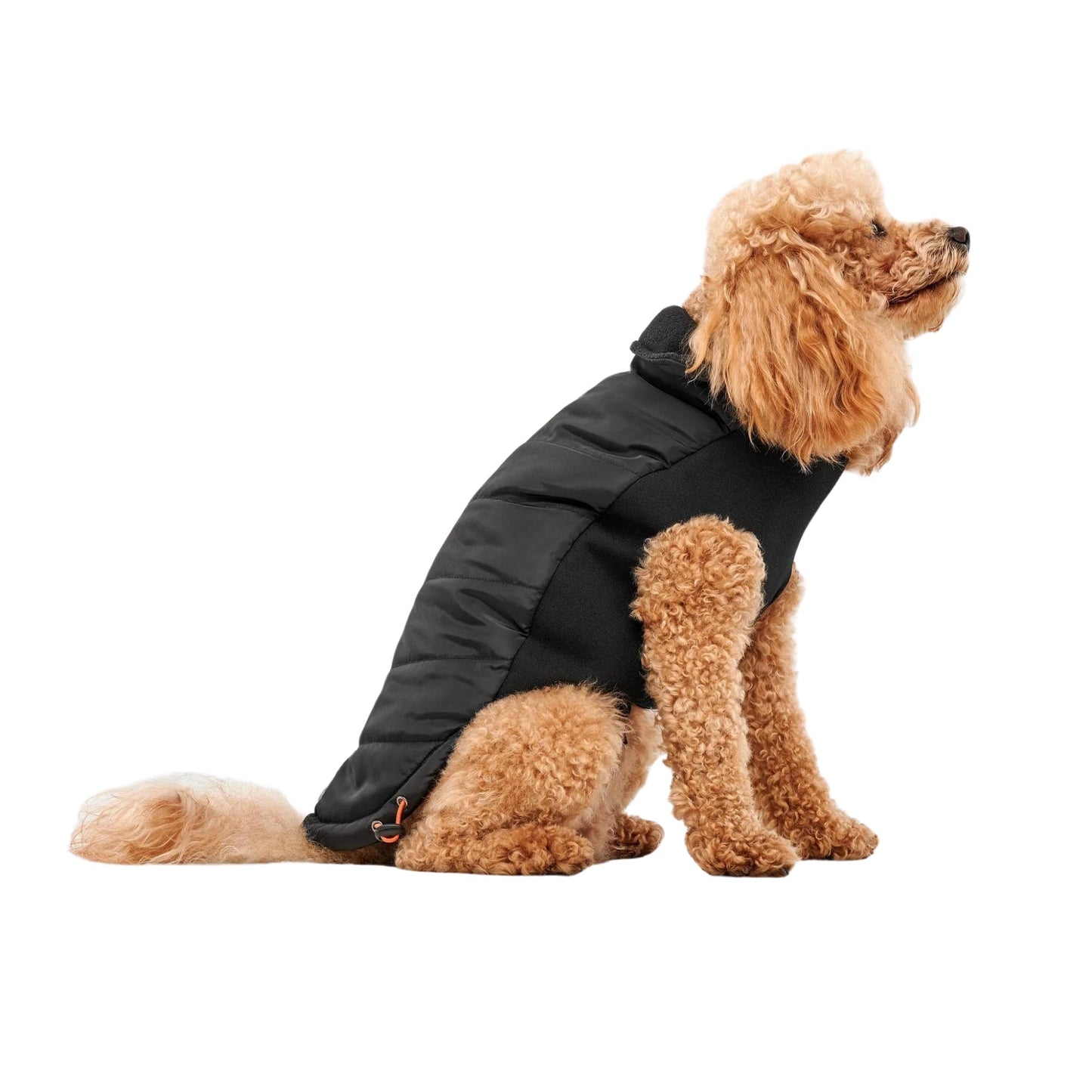 Goo-Eez Mock Neck Signature Dog Jacket Black Small