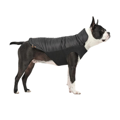 Goo-Eez Mock Neck Signature Dog Jacket Black Large