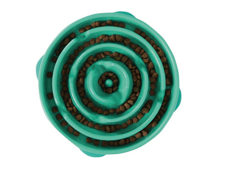 Outward Hound Fun Feeder Slo-Dog Bowl Turquoise 1ea/LG