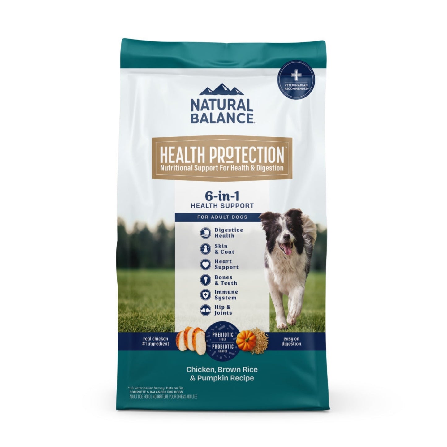 Natural Balance Pet Foods Health Protection Dry Dog Food Chicken, Rice  Pumpkin, 1ea/4 lb