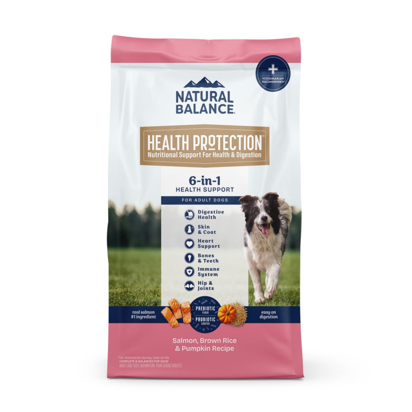 Natural Balance Pet Foods Health Protection Dry Dog Food Salmon, Brown Rice  Pumpkin, 1ea/4 lb