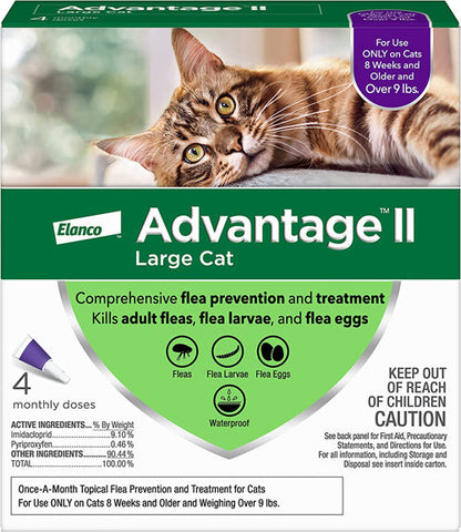 Advantage II Cat Large Purple 4-Pack (3packs)