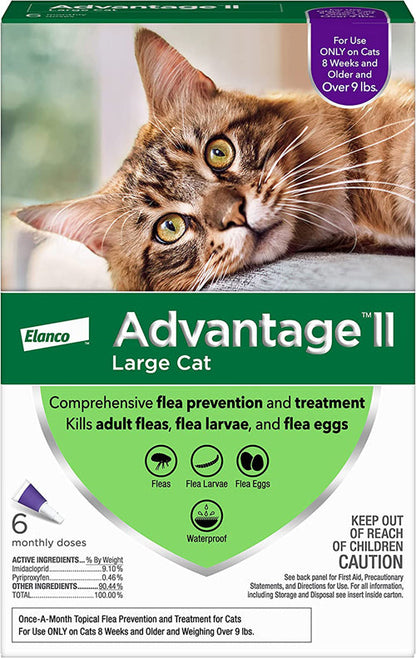 Advantage II Cat Large Purple 6-Pack (3 packs)