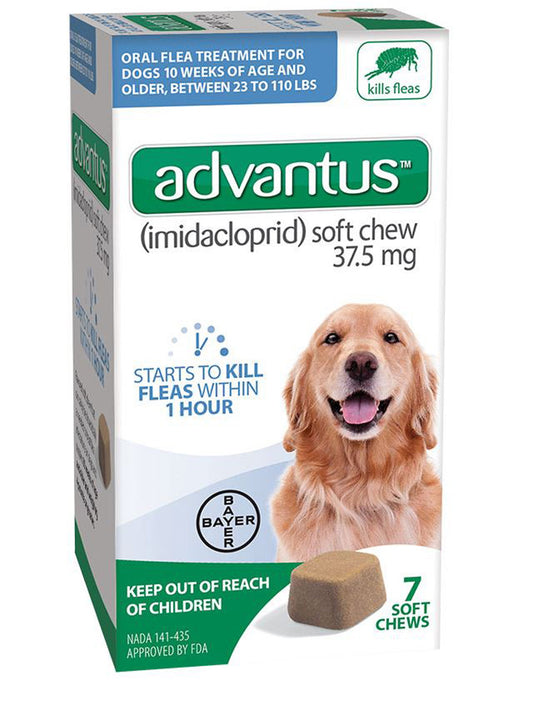 Advantus Dog Large 37.5Mg Soft Chew 7Ct. (3packs)