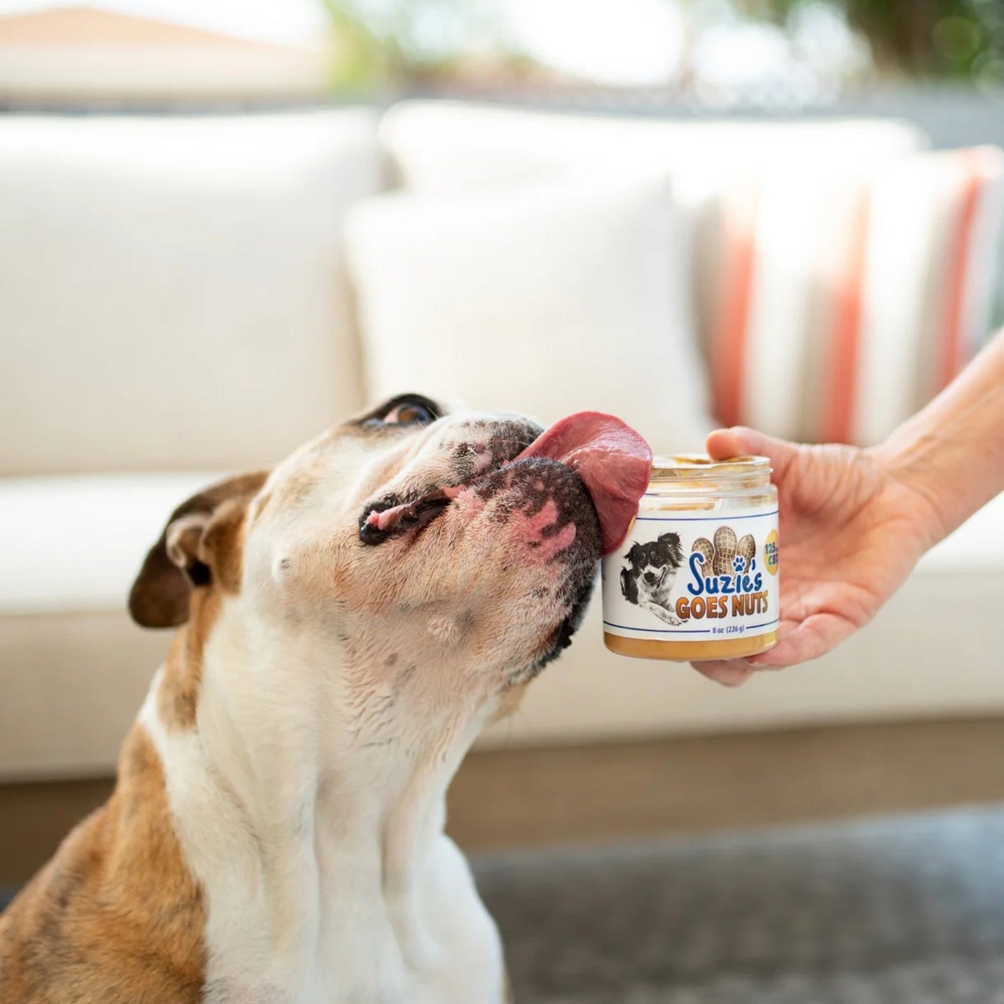 Suzie's Goes Nuts CBD Paste For Dogs Peanut Butter 8oz.