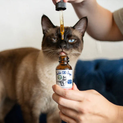 Suzie'S Goodbye Uti Drops For Cats 1oz.-200 Mg