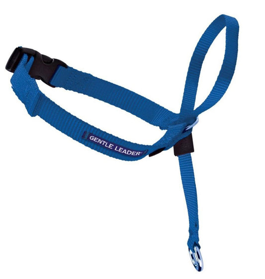 PetSafe Headcollar No-Pull Dog Collar Royal Blue 1ea/SM