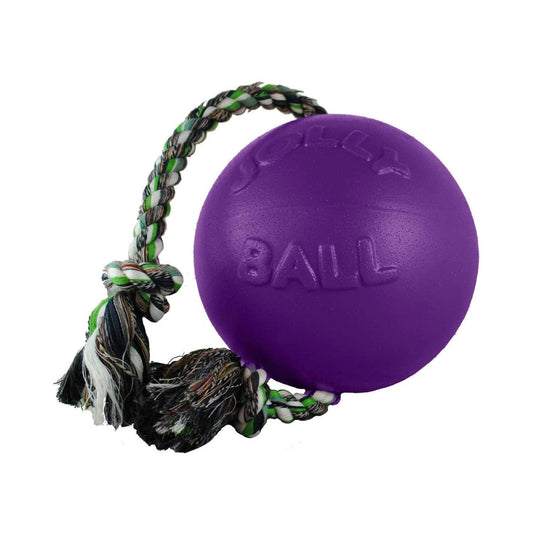 Jolly Pets Romp-N-Roll Ball Purple Large