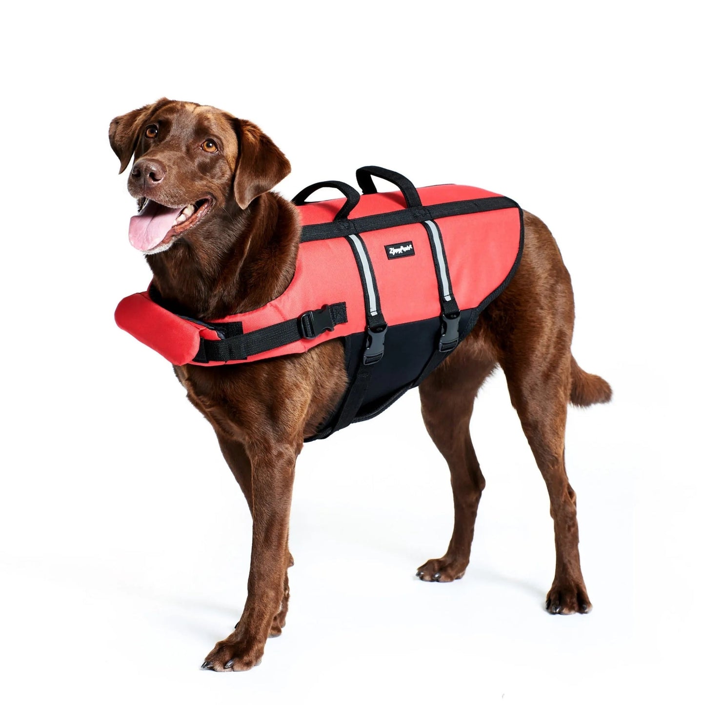 Zippypaws Adventure Life Jacket Red/Black XSmall