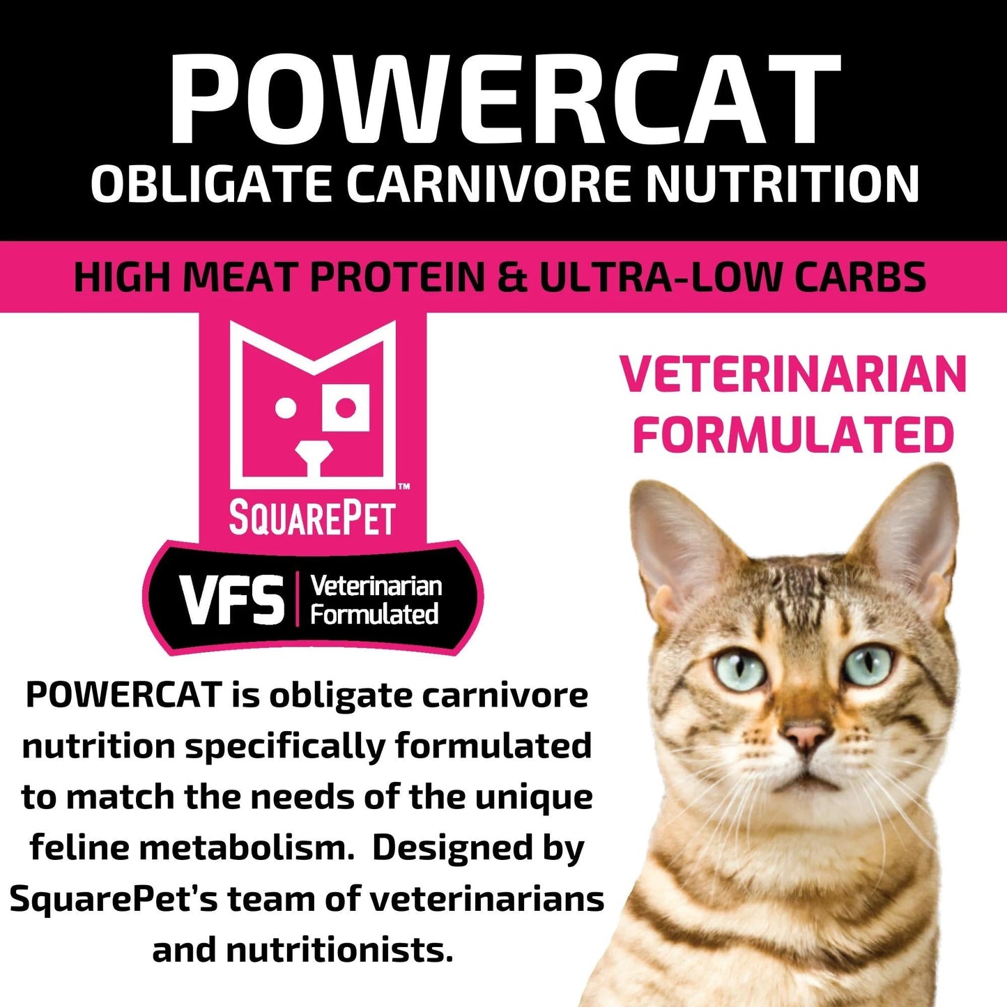 Square Pet VFS Powercat 11Lb Herring Salmon