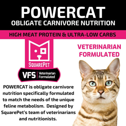 Square Pet VFS Powercat 4.4Lb  Herring Salmon