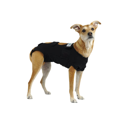 Calm Paws Calming Recovery Vest XSmall