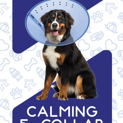 Calm Paws E-Collar Blue XXLarge 15.25-25in.