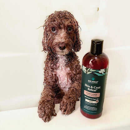 Pet Releaf Skin & Coat Dog 16oz. Soothe & Silken Conditioner Cbd 100Mg