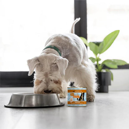 Dogs In The Kitchen Goldie Lox With Chicken And Wild-Caught Salmon Au Jus 10oz. (Case of 12)