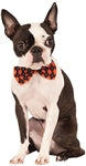 Rubies Halloween Argyle Bowtie M-L