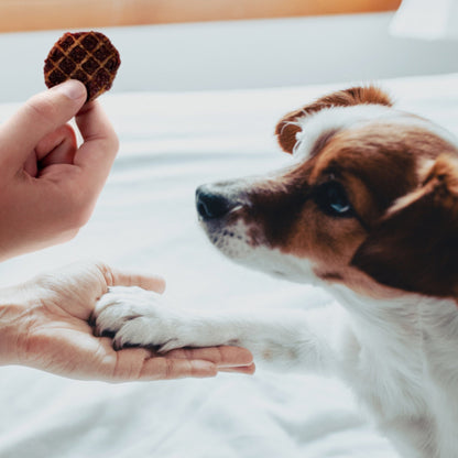 Farmland Traditions Dogs Love Pork Jerky Dog Treats 1ea/40oz.